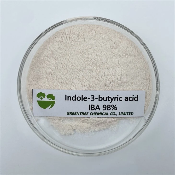 Lauksaimniecības augšanas regulatora pulveris Iba Indols-3-Sviestskābe 98 procenti Tc CAS 133-32-4